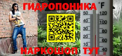 бошки Заводоуковск